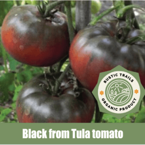 Black from Tula tomato